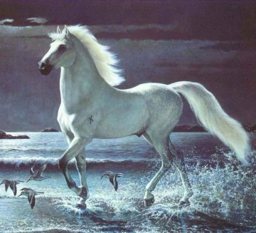 Animal Painting - am258D11 animal caballo